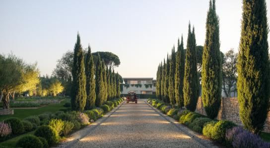 Entrance avenue