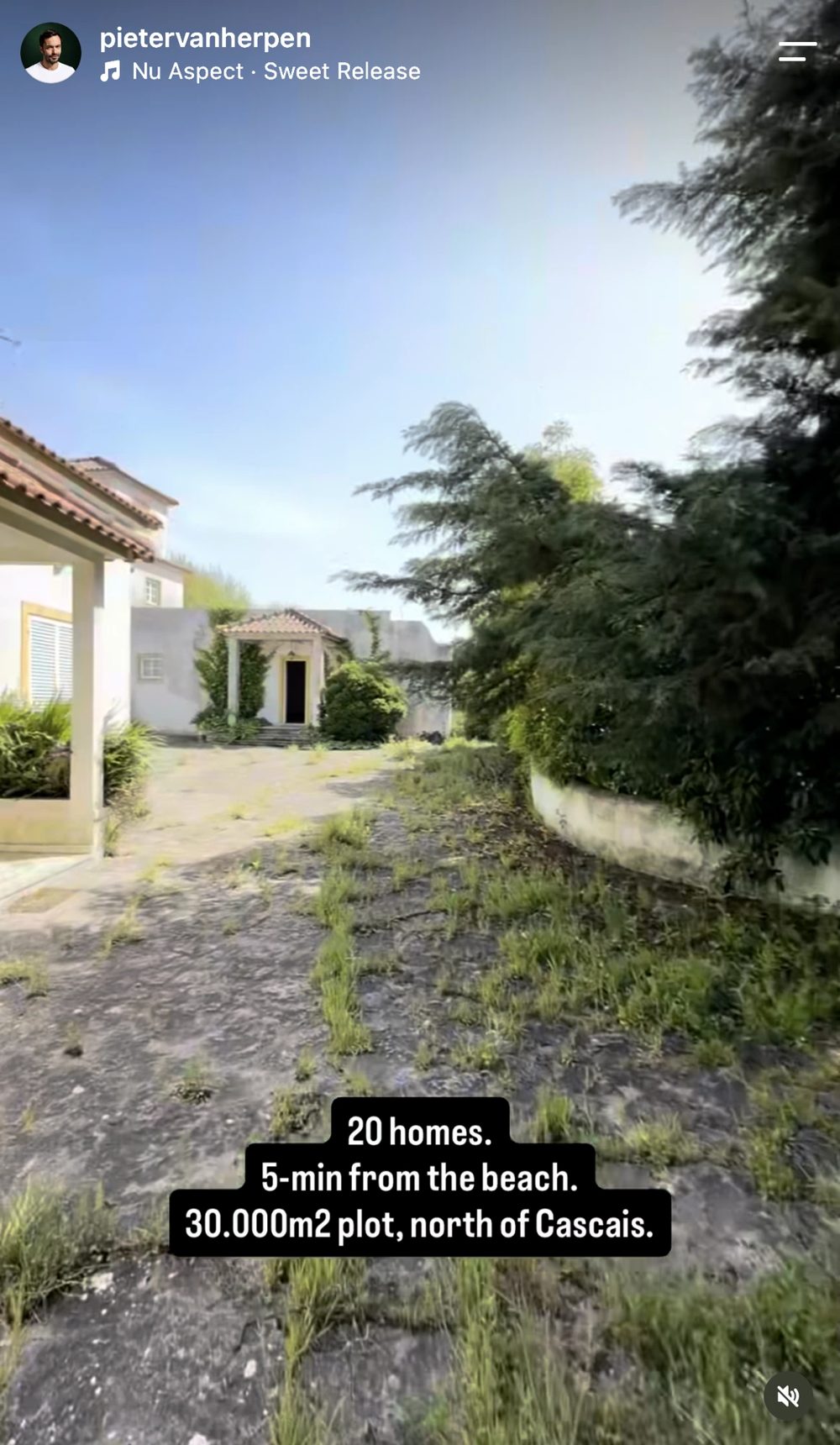 Pieter walking a 30,000 m² plot north of Cascais, from his Instagram